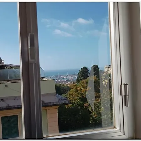 Apartment Pulcino Furioso Magenta *